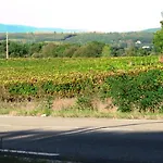 La Petite Maison * Malataverne