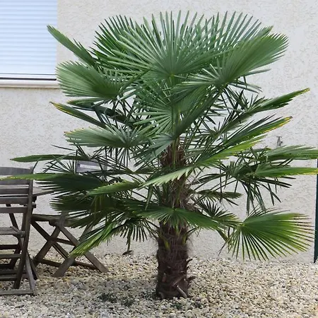 La Petite Maison Vakantiehuis *