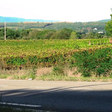 La Petite Maison * Malataverne